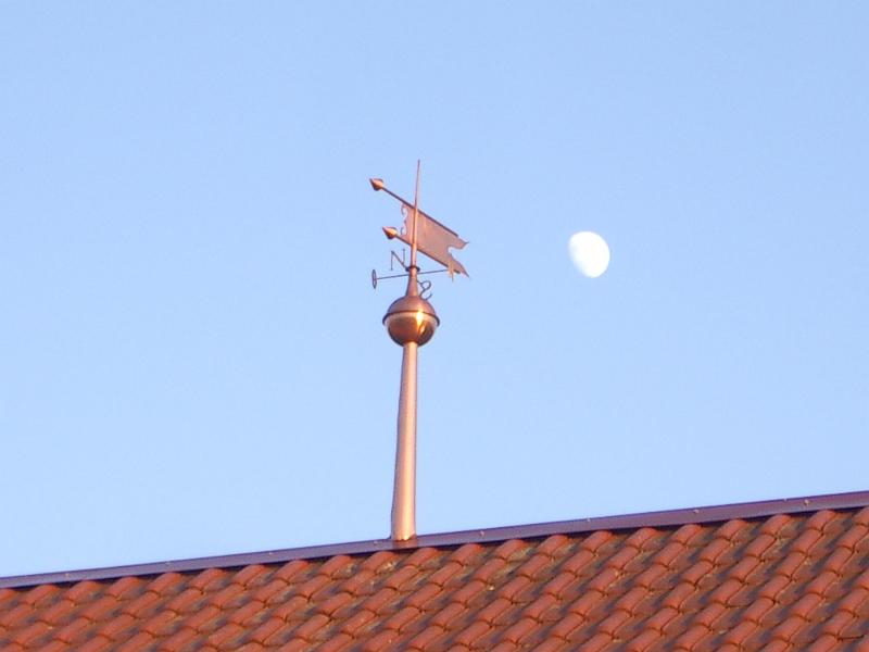 IMGP2337.JPG