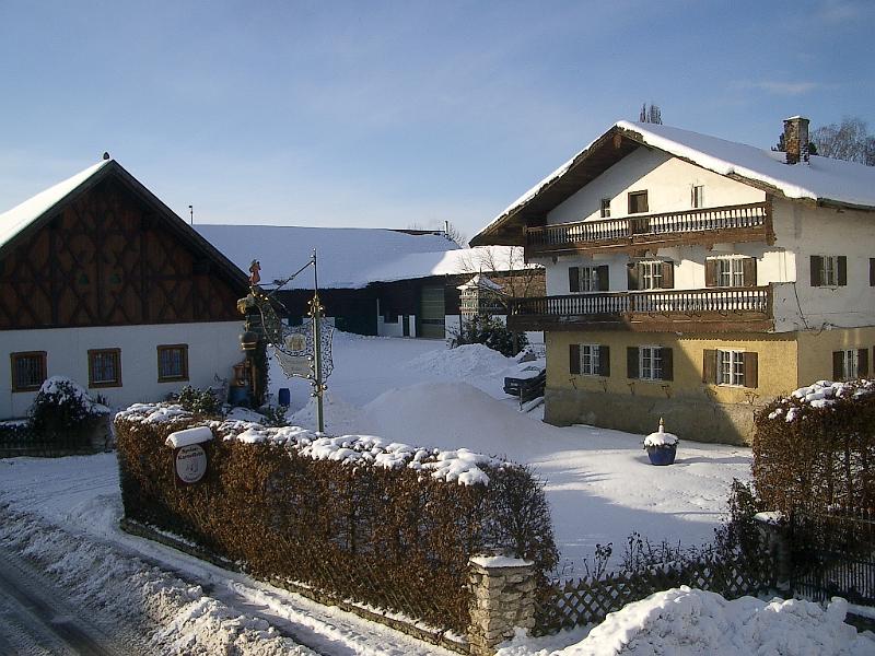 IMGP4114.JPG